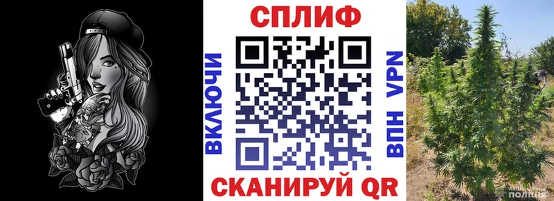 Где продают наркотики Трёхгорный A-PVP  Меф мяу мяу  ГАШ  КОКАИН 