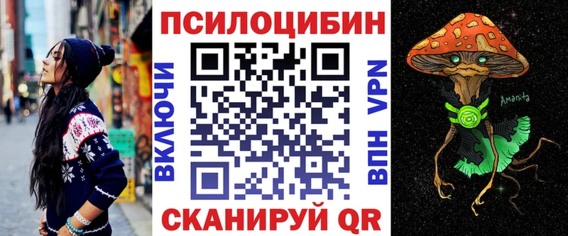 где купить   Трёхгорный  Псилоцибиновые грибы GOLDEN TEACHER 